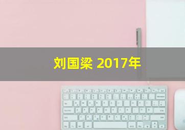 刘国梁 2017年